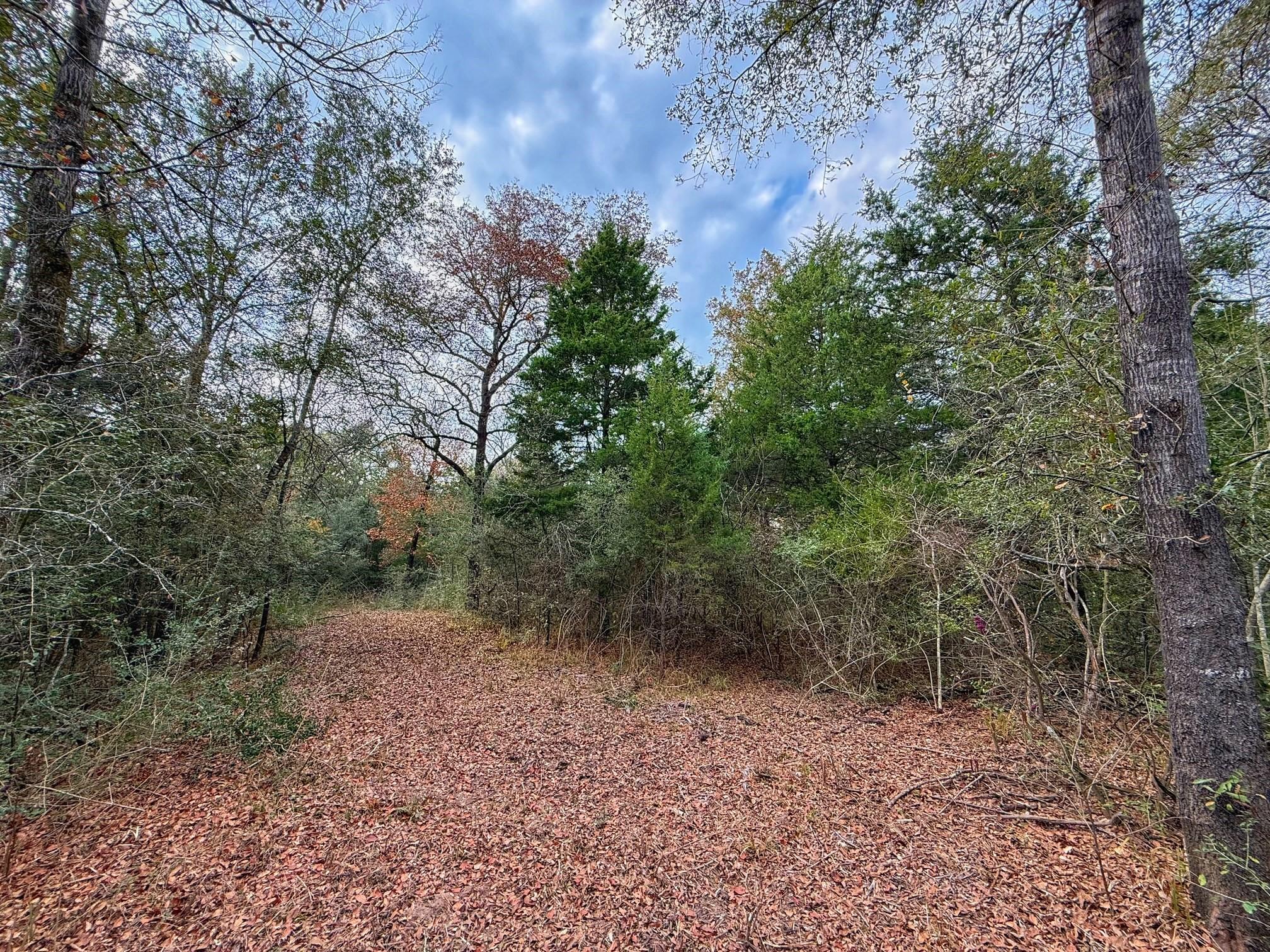 13 ac Highway 75 North