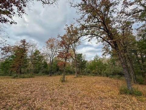 Vacant Land For Sale - 13 AC Highway 75 North<br/> Buffalo, TX 75831