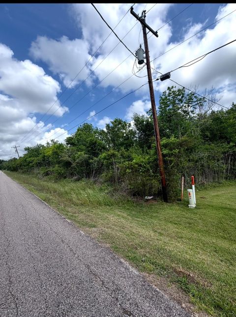 Photo of 0 County Road 356, Brazoria, TX 77422 (MLS # 98705832)