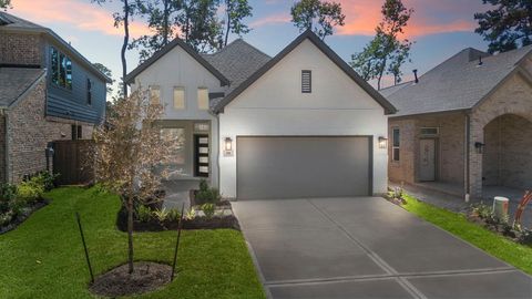 Photo of 291 Mallards Rim Drive, Willis, TX 77318 (MLS # 16285374)