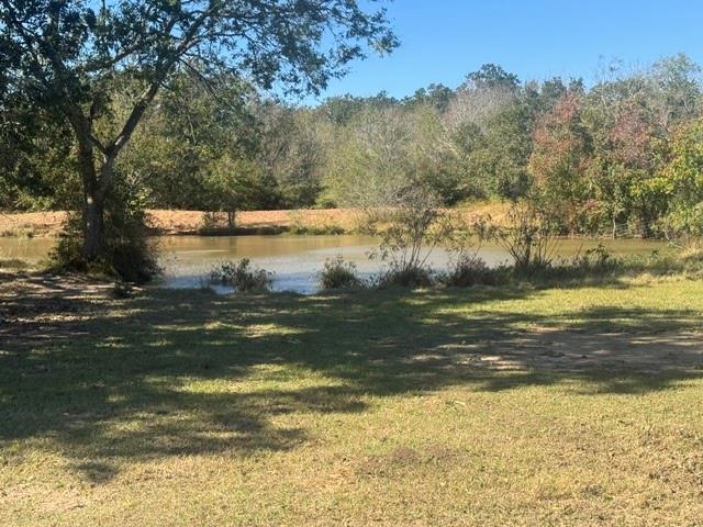 163 ac Pine Tree Road