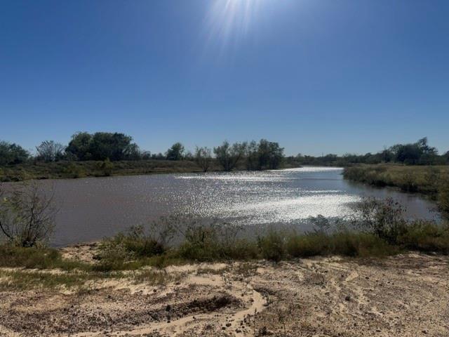 163 ac Pine Tree Road