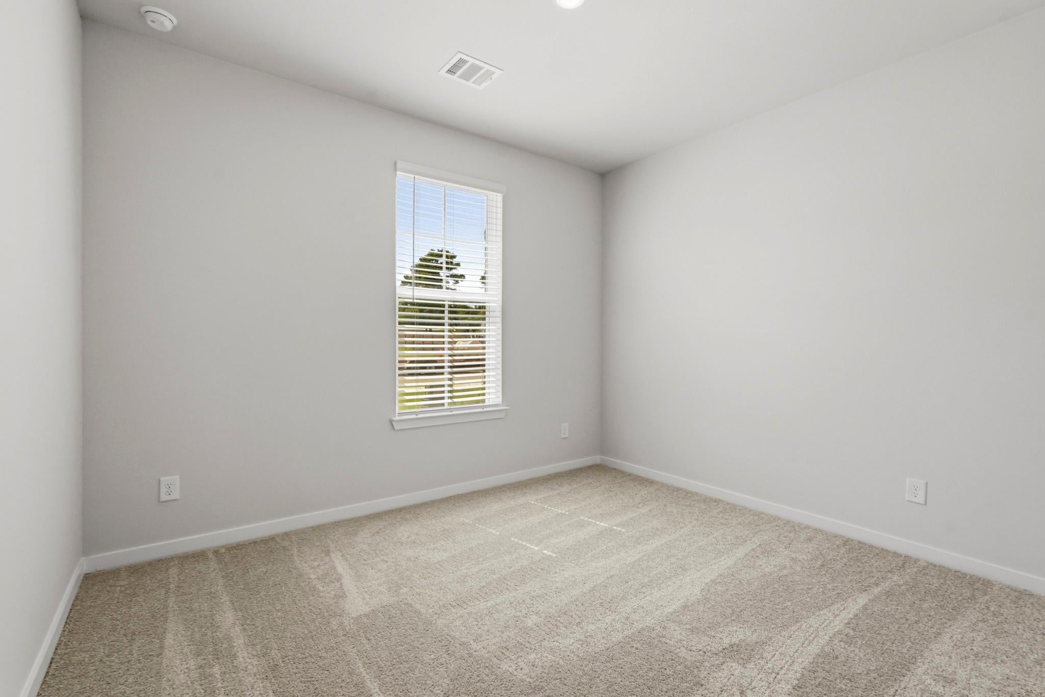 316 Tall Birch Drive