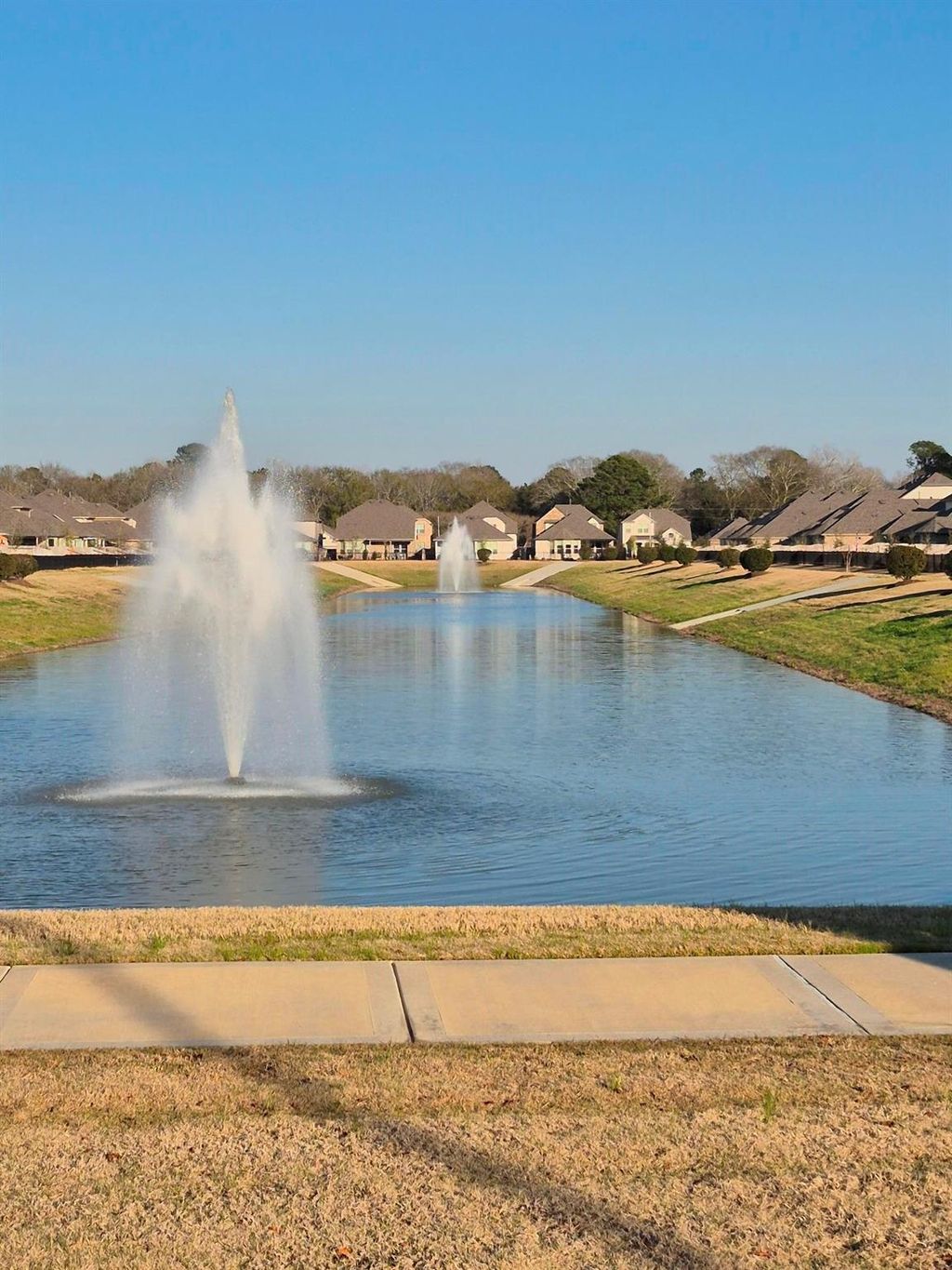 Photo of 25832 Rugosa Drive, Magnolia, TX 77355 (MLS # 41307127)