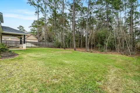 Tiny photo for 245 E Blue Heron Drive, Montgomery, TX 77316 (MLS # 60007727)