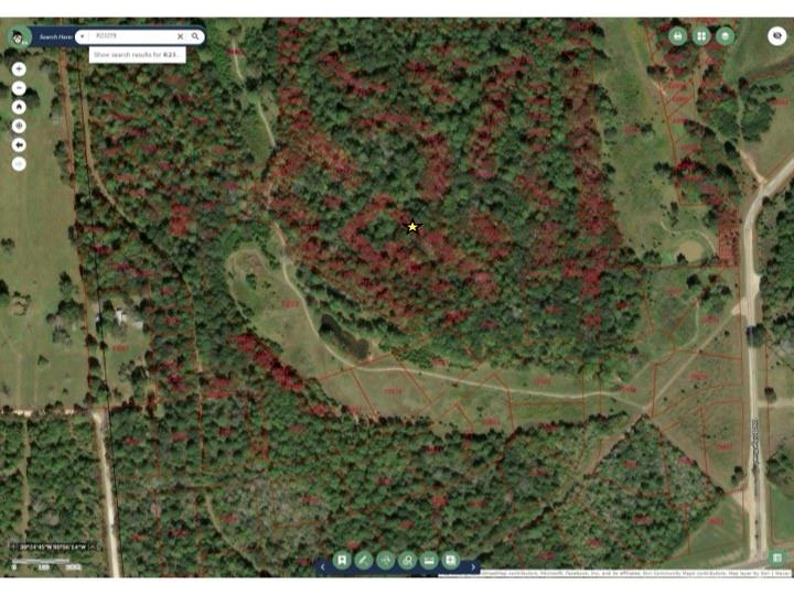 Navasota, Texas 77868, United States, ,Land,Active,208076