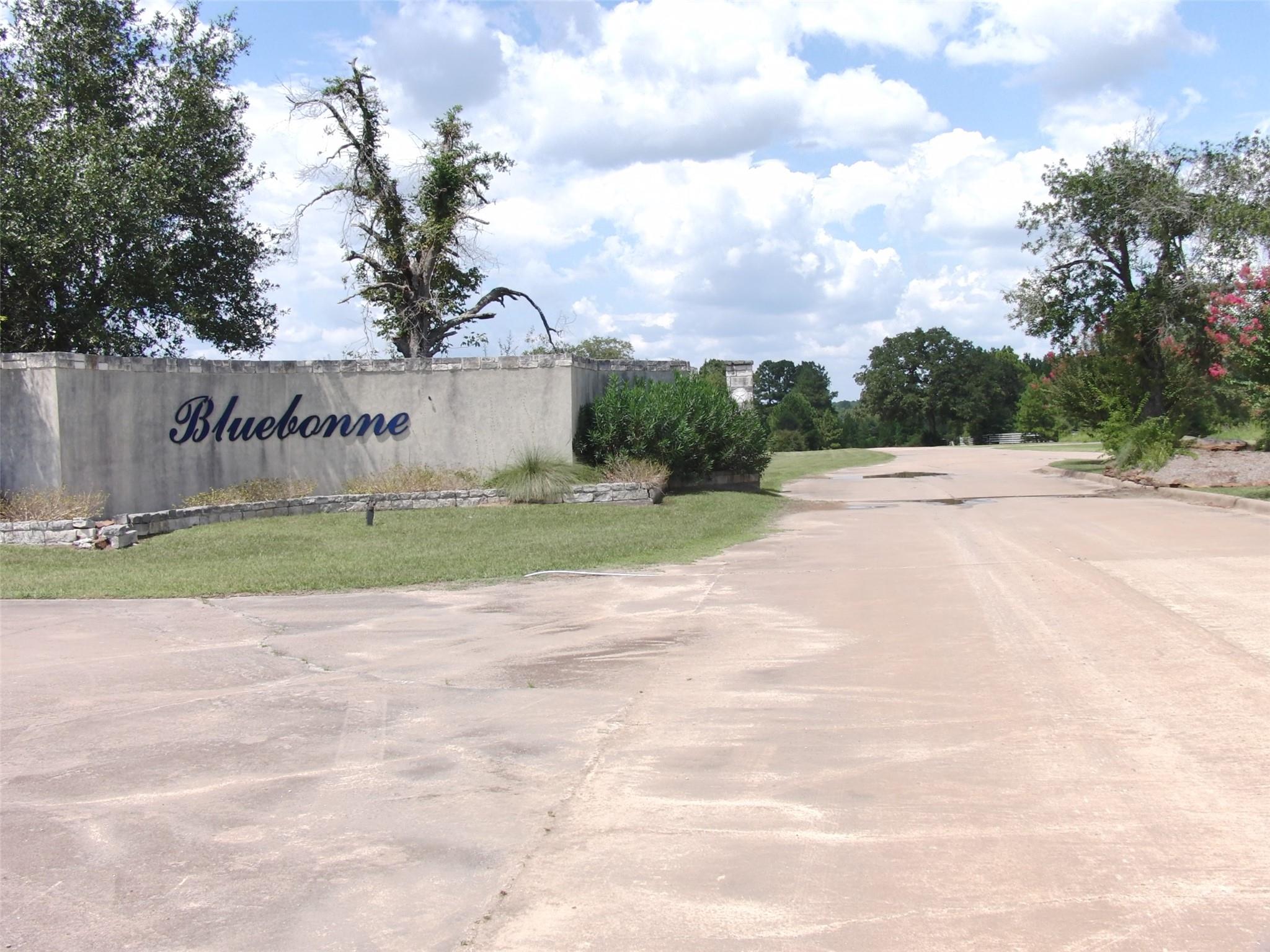 Navasota, Texas 77868, United States, ,Land,Active,208076