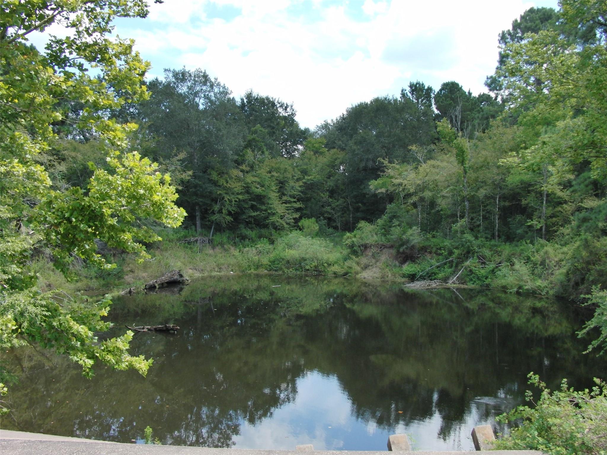 Navasota, Texas 77868, United States, ,Land,Active,208076