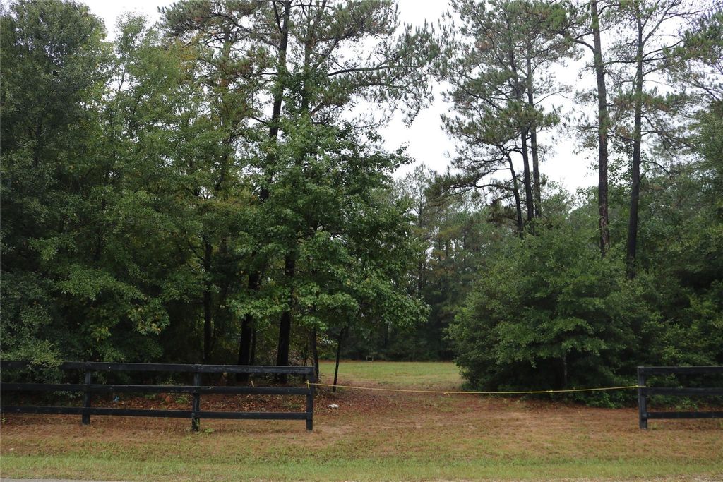 Photo of 11200 Kentucky Oaks Rd Dr, Conroe, TX 77304 (MLS # 91632668)