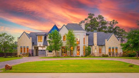 Photo of 23 Rugged Lark Circle, Tomball, TX 77377 (MLS # 77961073)