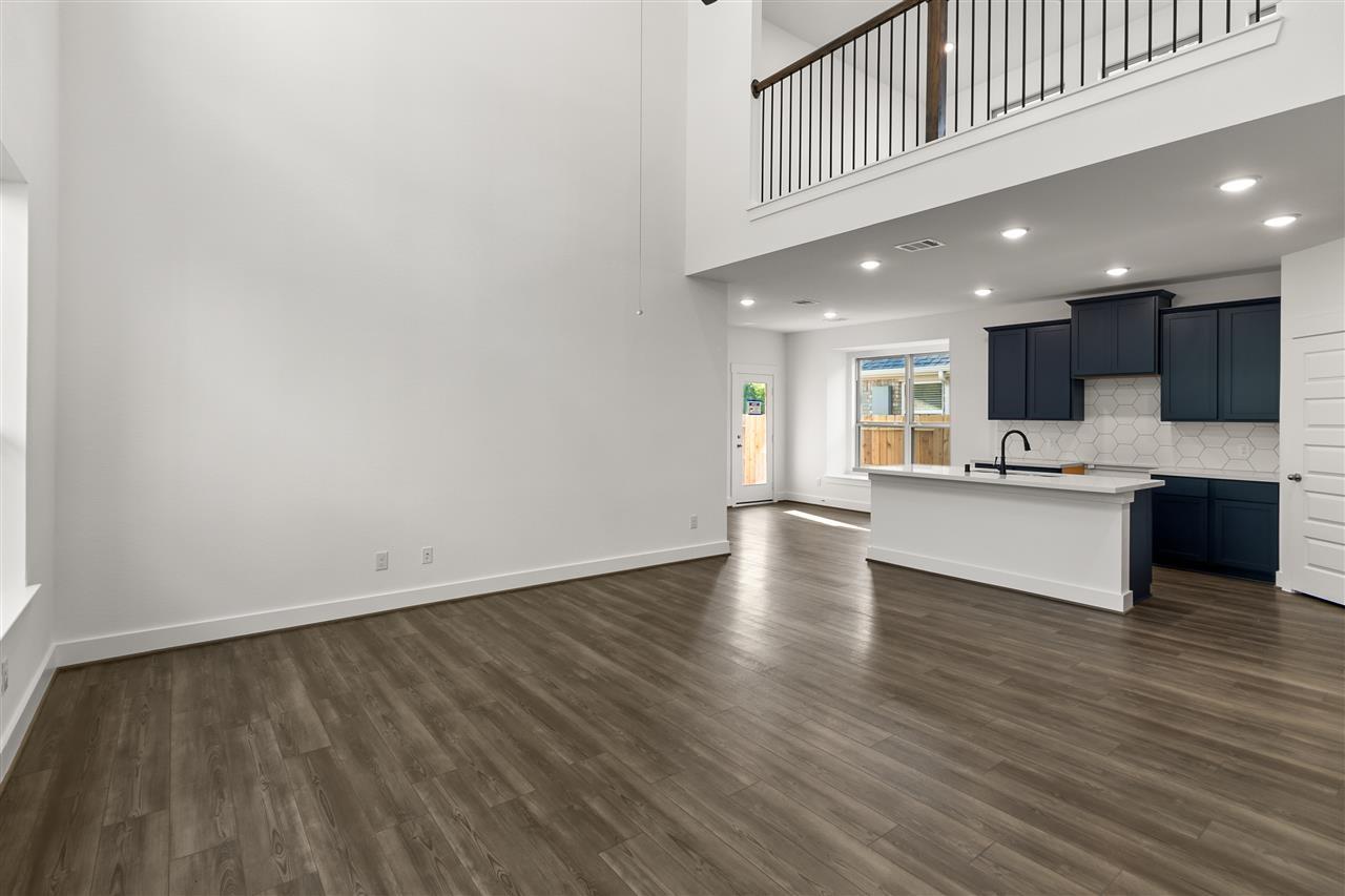 21446 Gazania Daisy Lane
