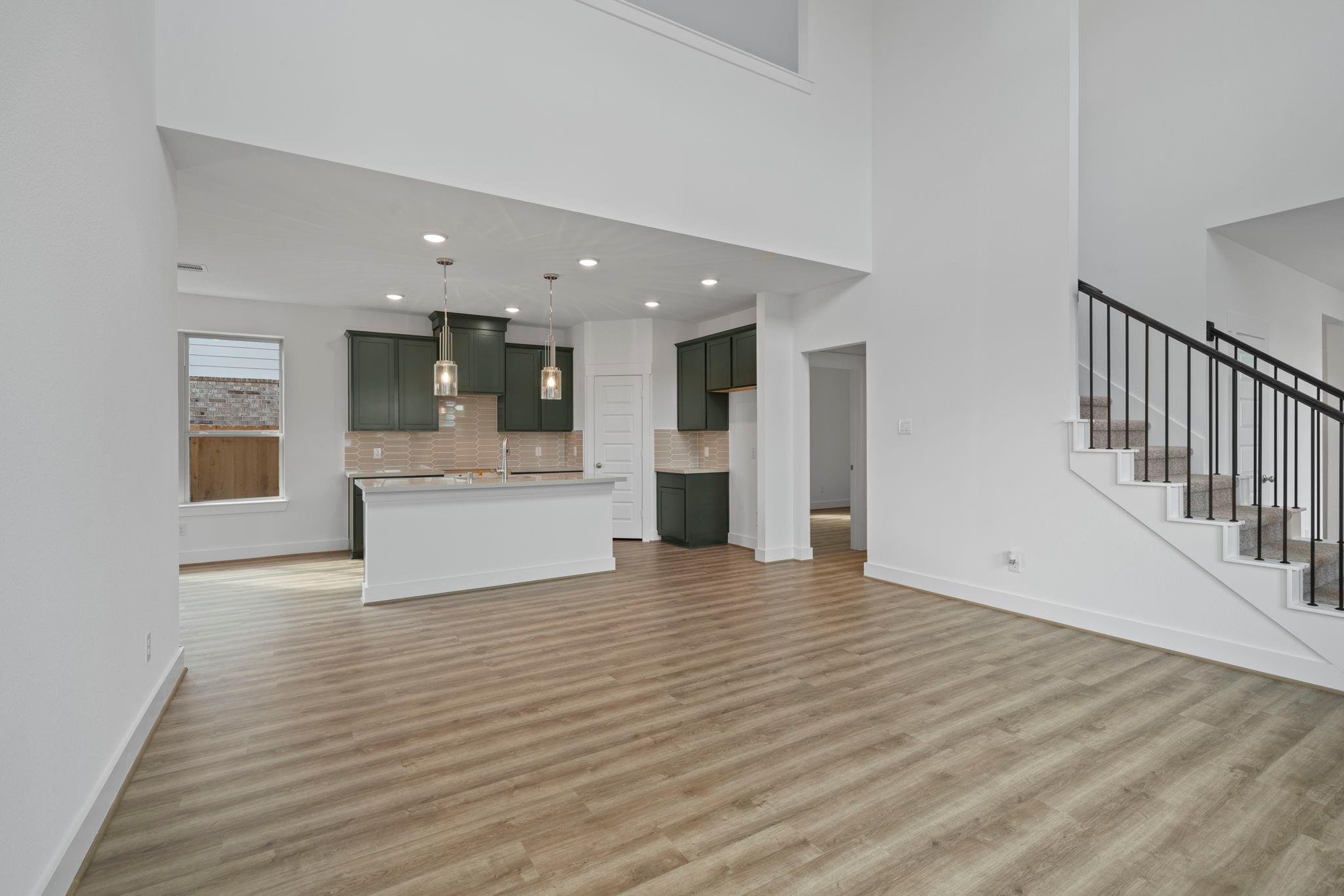 21446 Gazania Daisy Lane