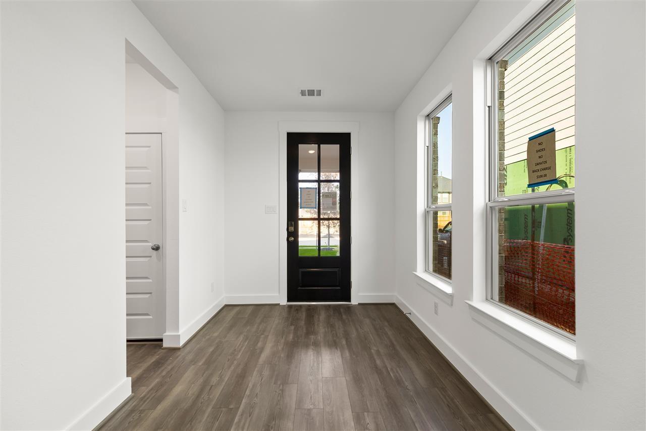 21446 Gazania Daisy Lane