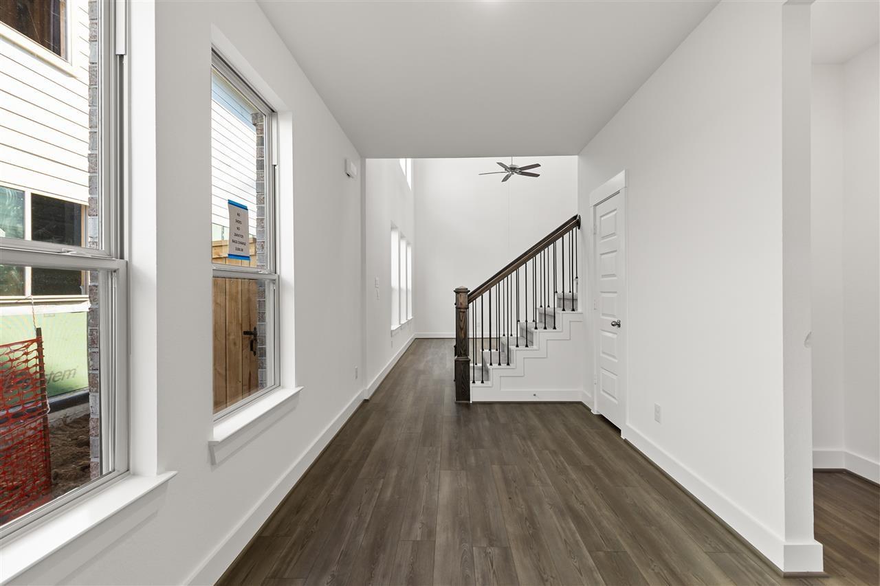 21446 Gazania Daisy Lane