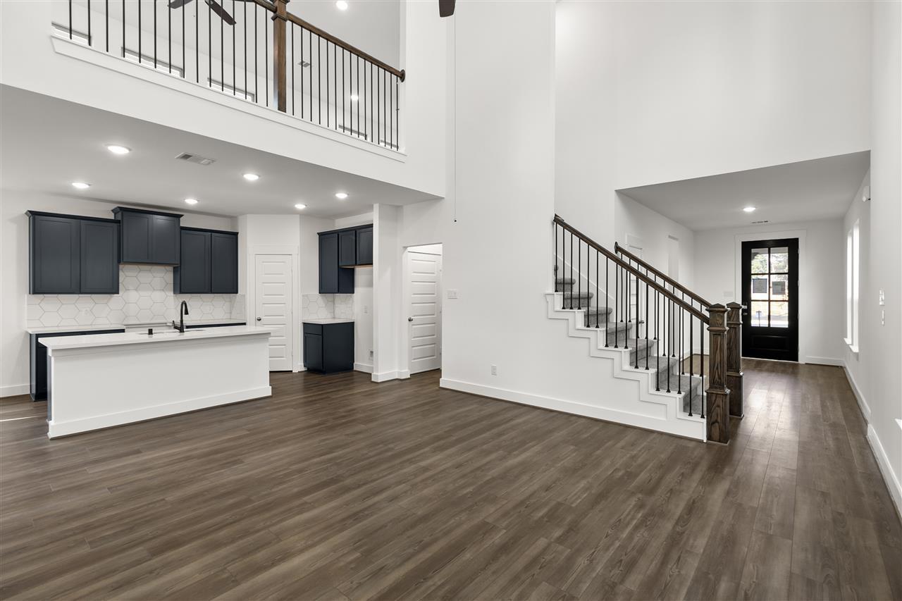 21446 Gazania Daisy Lane