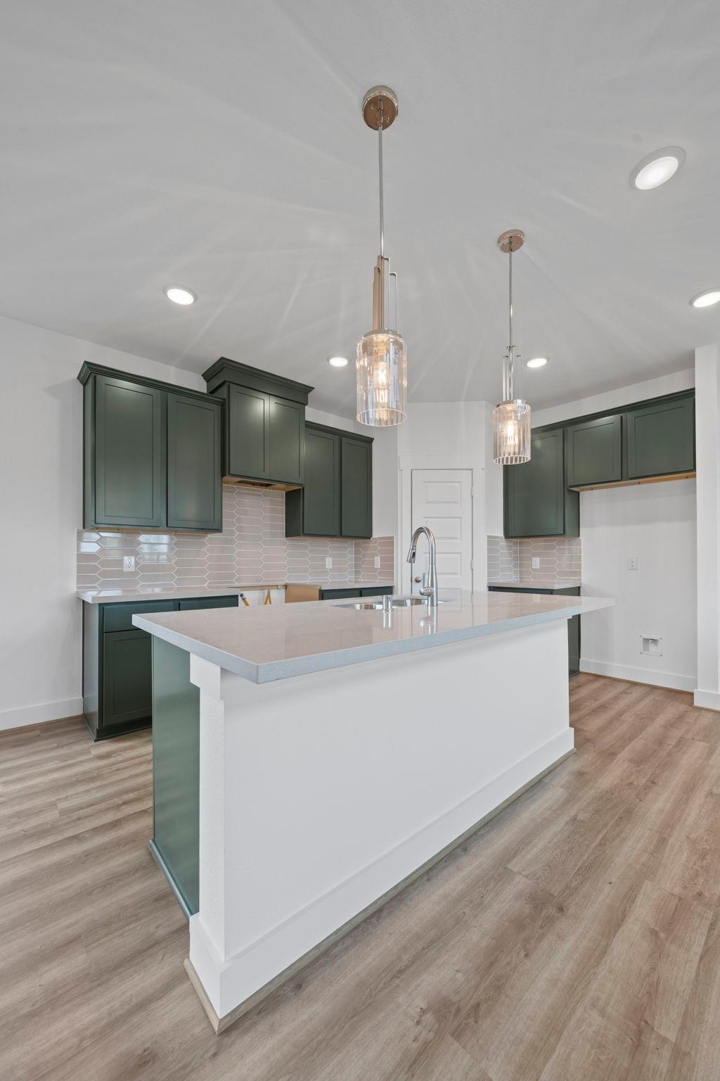 21446 Gazania Daisy Lane