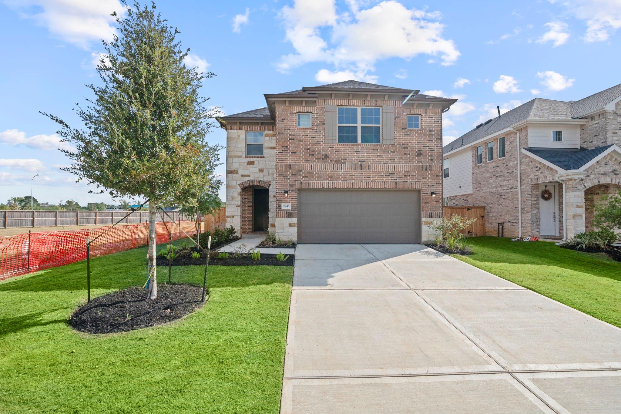 21446 Gazania Daisy Lane