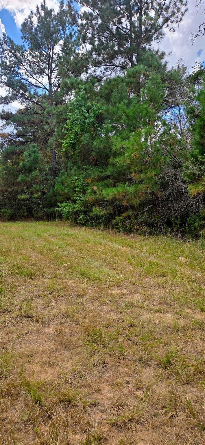 0 & 29699 Mcclellan Court W