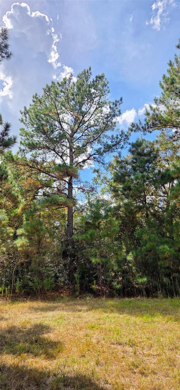 0 & 29699 Mcclellan Court W