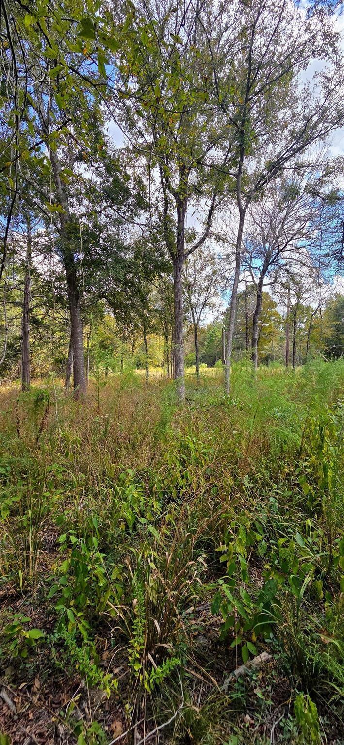 0 & 29699 Mcclellan Court W