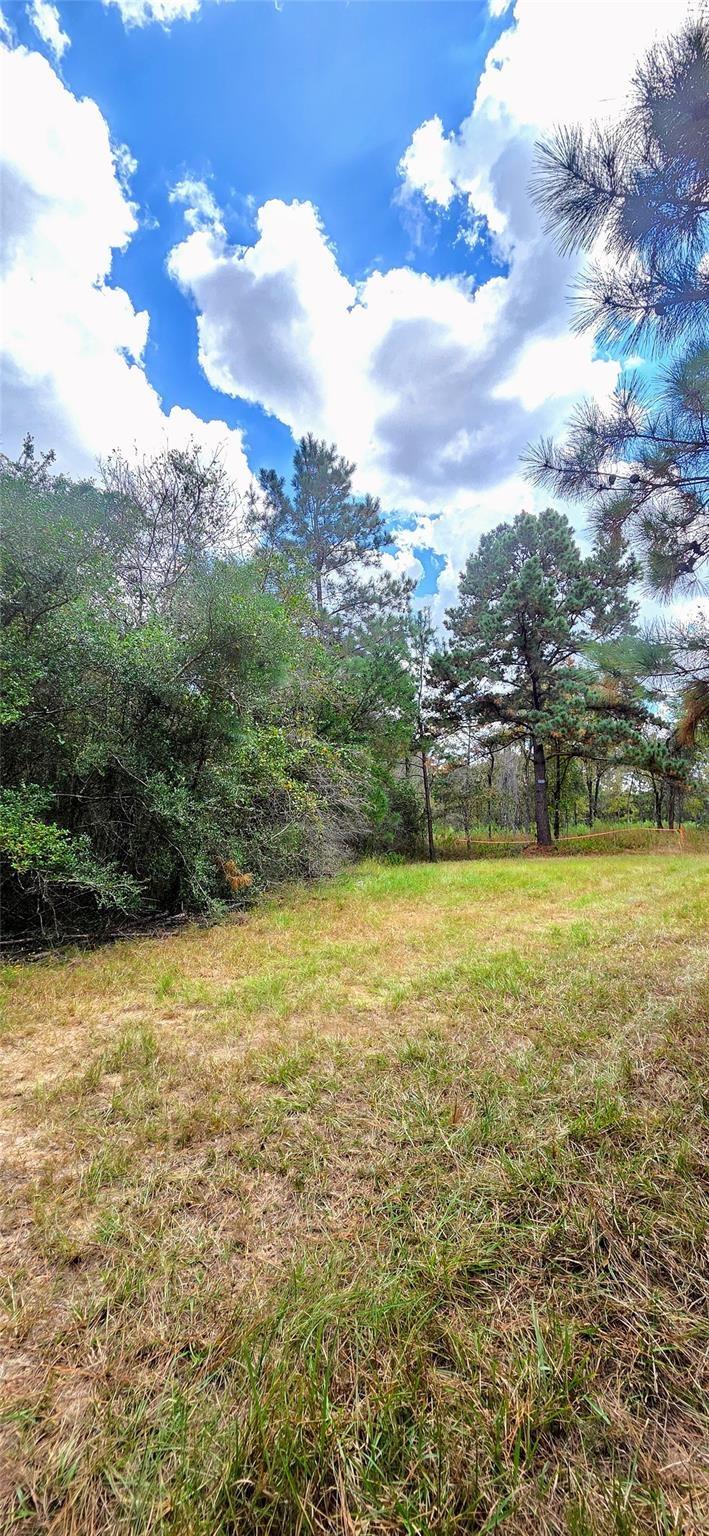 0 & 29699 Mcclellan Court W