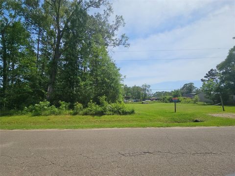 Photo of 0 Burning Tree Ln, New Caney, TX 77357 (MLS # 98225160)