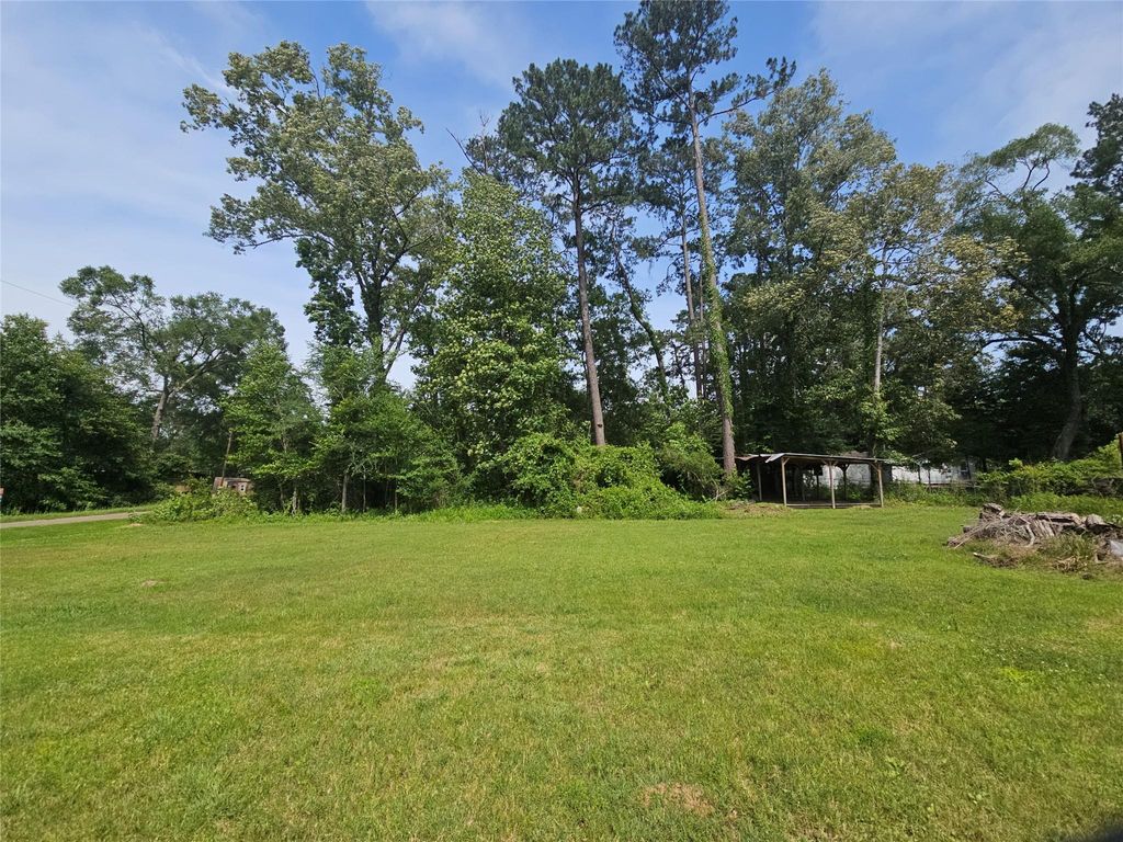 Photo of 0 Burning Tree Ln, New Caney, TX 77357 (MLS # 98225160)