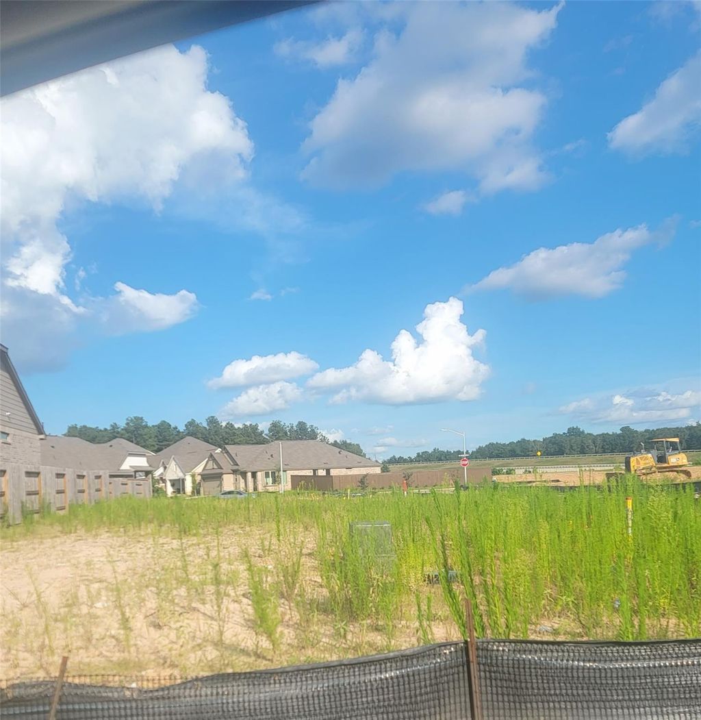 Photo of 302 Violet Crown Lane, New Caney, TX 77357 (MLS # 12825127)