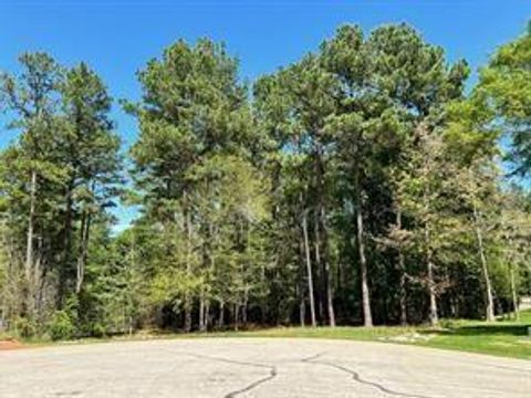 1513 Citron Court Willis TX 77378