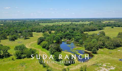 Photo of TBD County Road 132 - 74 Acres, Caldwell, TX 77836 (MLS # 31773686)