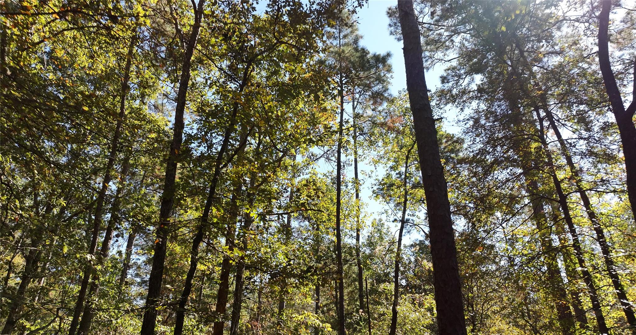 000 tbd Parrish Trail