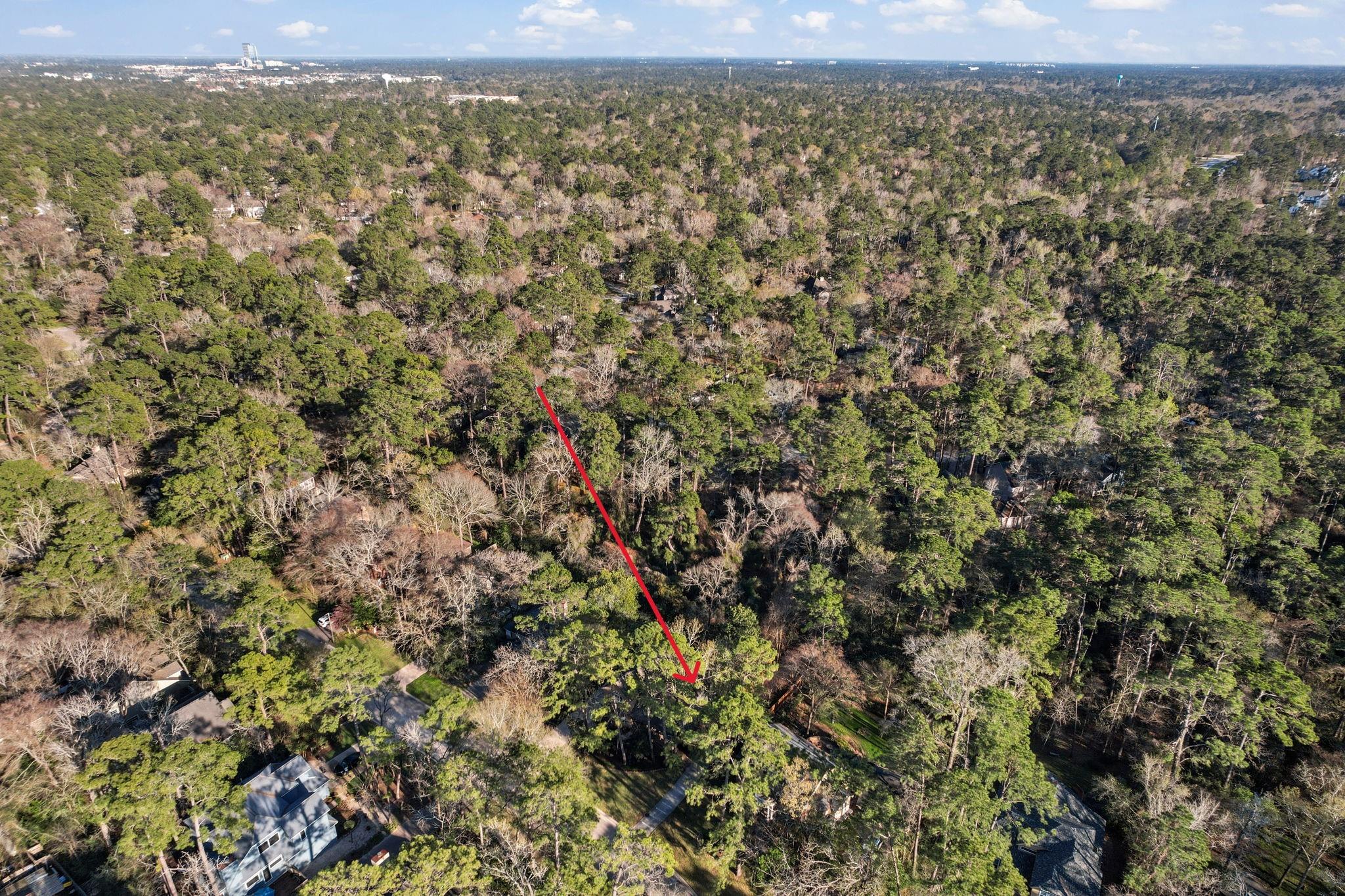 126 E Wilde Yaupon Circle