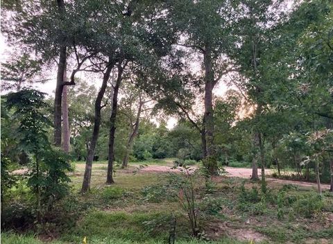 Photo of 12 W Shady Lane, Houston, TX 77063 (MLS # 37478772)