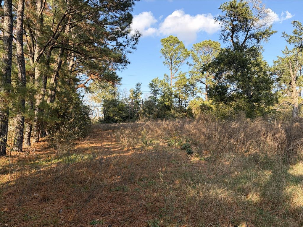 Photo of TBD Pecan Avenue, Waller, TX 77446 (MLS # 22419476)