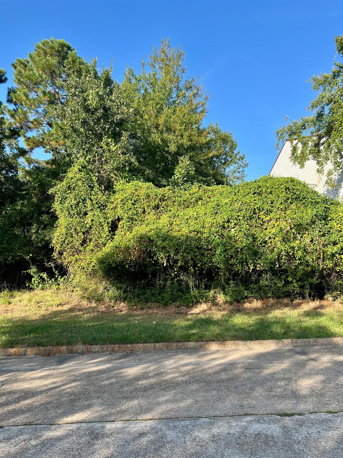 3106 Poe Drive