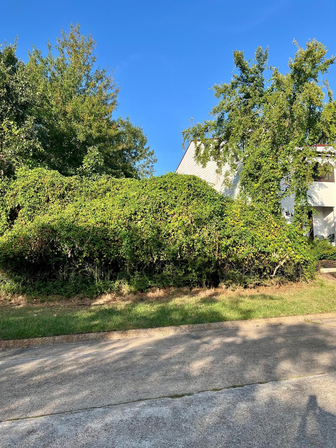 3106 Poe Drive