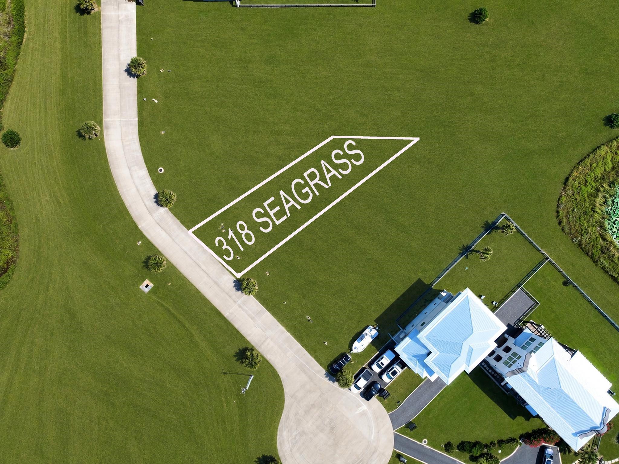 318 Seagrass