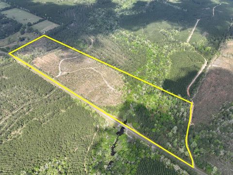 Vacant Land For Sale - 1 Fm 2827<br/> Tyler County, Warren, TX 77664