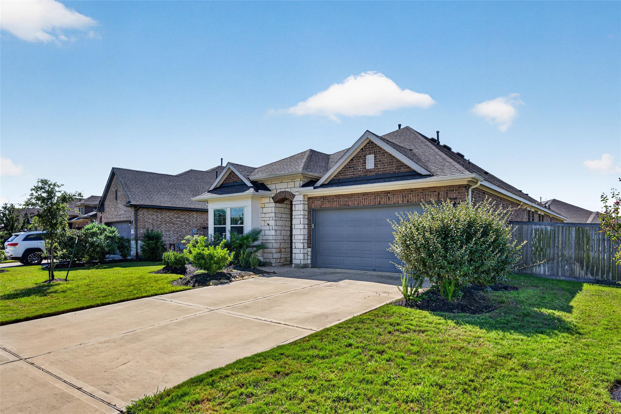 30007 Vallonea Oak