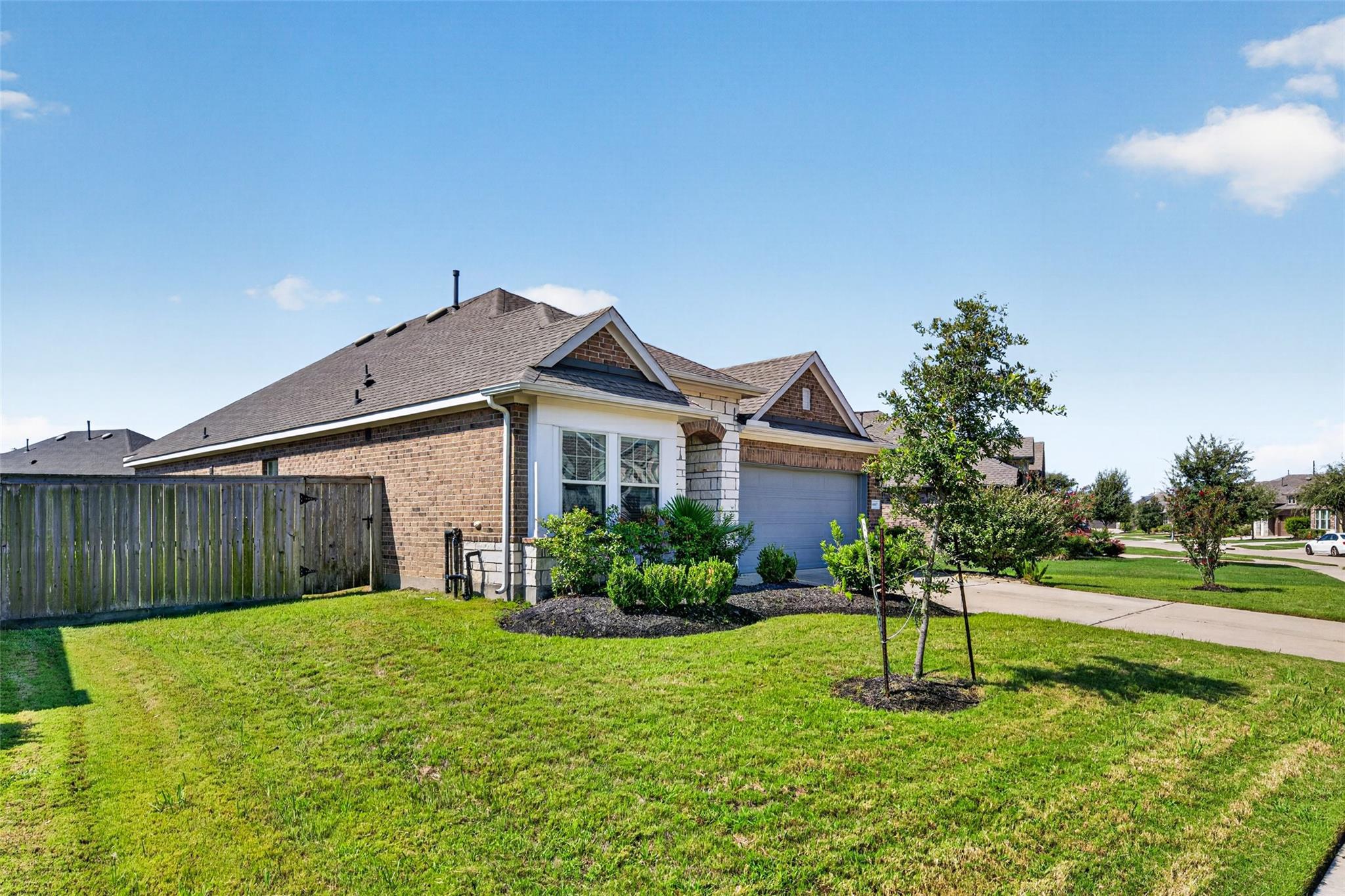 30007 Vallonea Oak