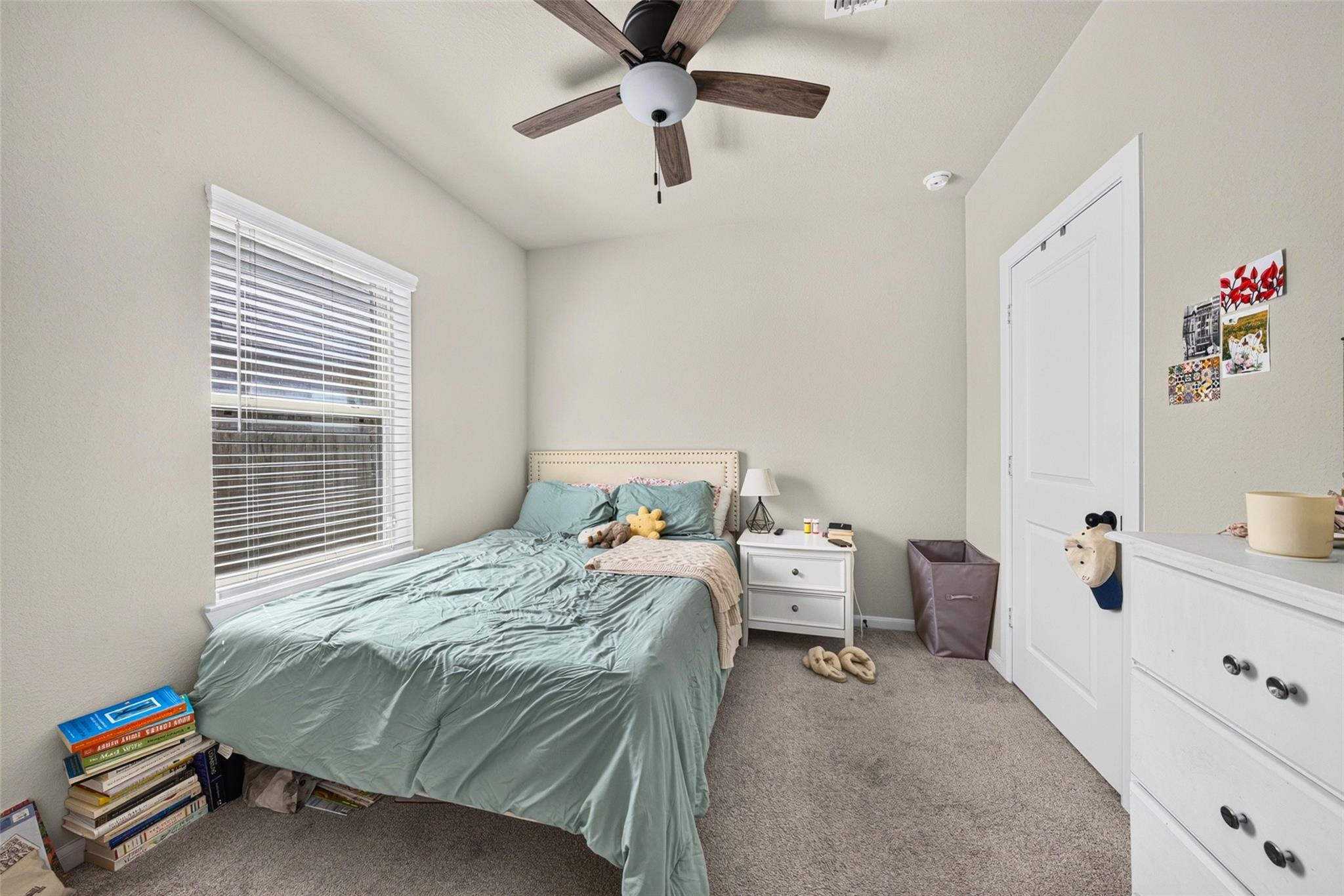 30007 Vallonea Oak
