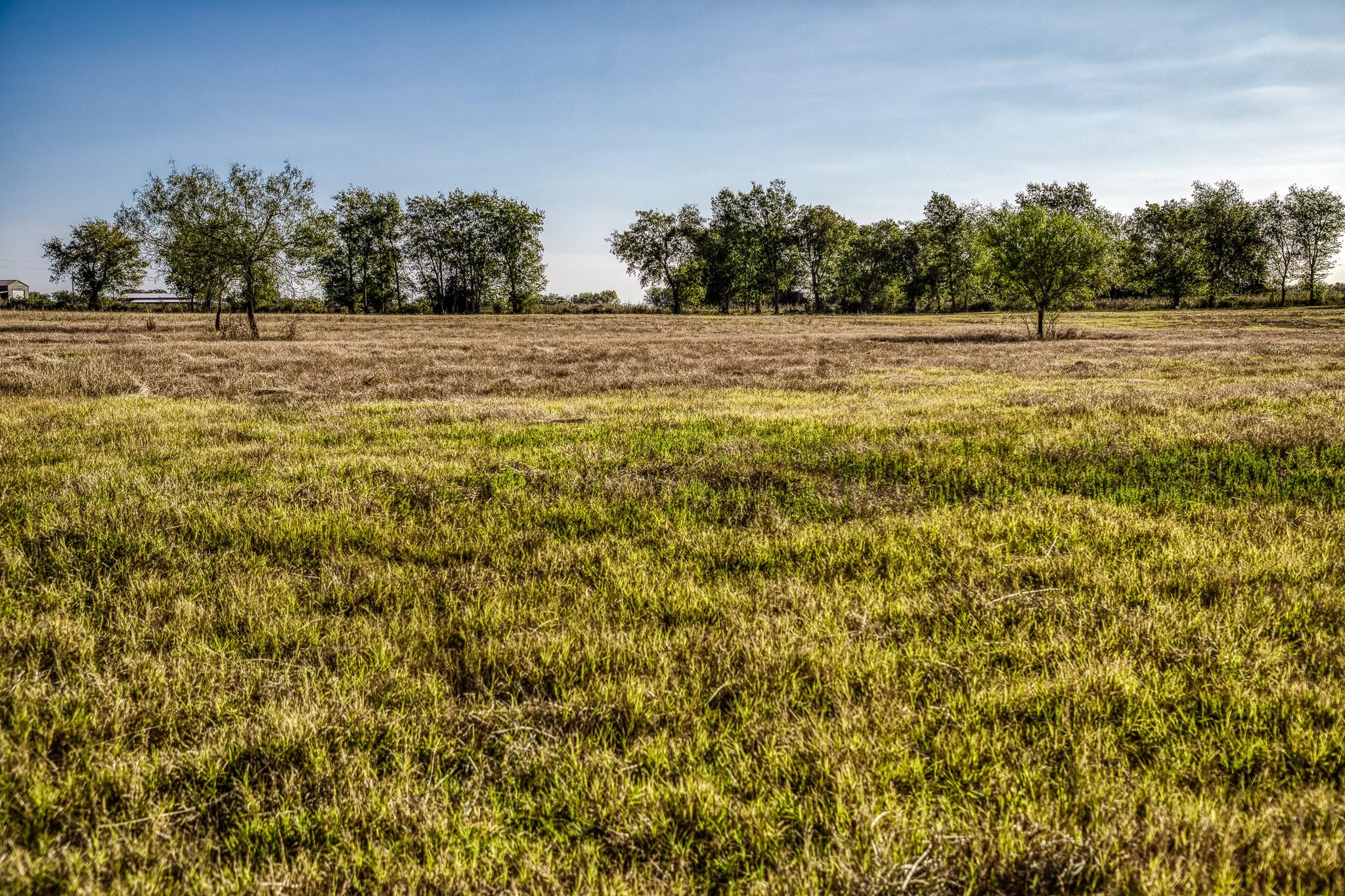460 County Road 328