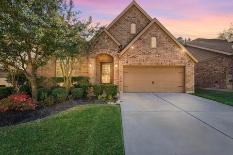 127 Deerchase Drive Conroe TX 77384
