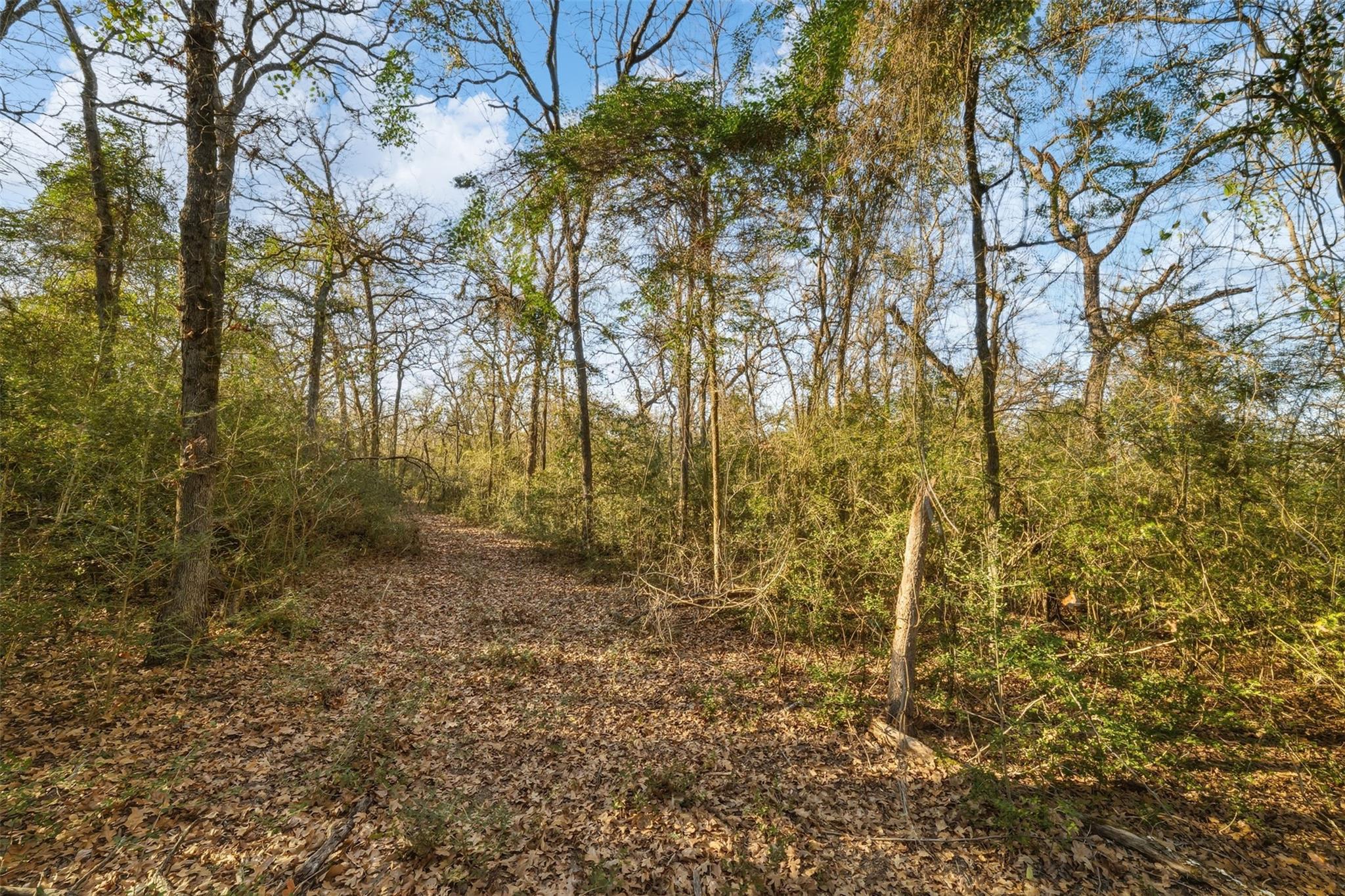 TBD Farm To Market 979