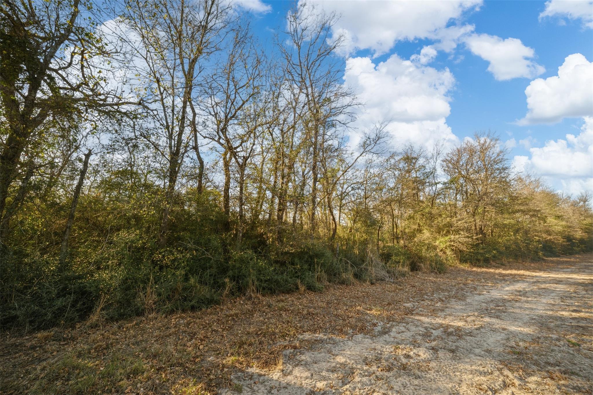 TBD Farm To Market 979