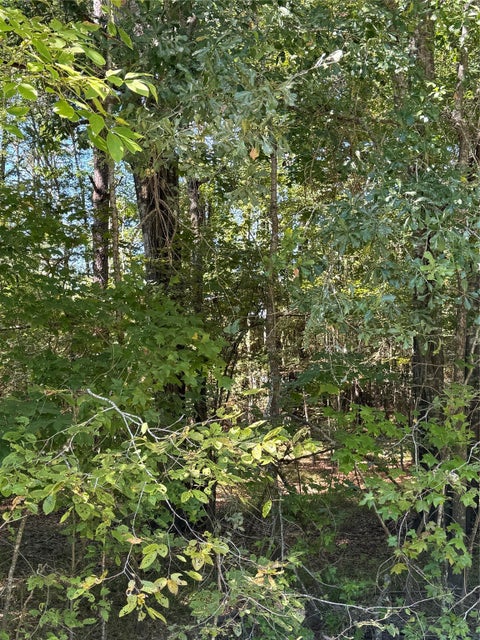 Vacant Land For Sale - 000 Caney Creek<br/> Walker County, Huntsville, TX 77320