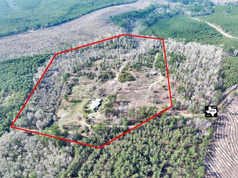 Photo of 1202 County Road 1099, Wiergate, TX 75977 (MLS # 97667655)