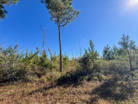 Vacant Land For Sale - T-5 Fm 787<br/> Votaw, TX 77376