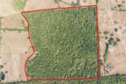 Vacant Land For Sale - AB 217 Private Road<br/> Houston County, Crockett, TX 75835