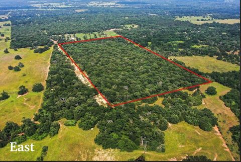 1329 Pr 3491 Jewett TX 75846